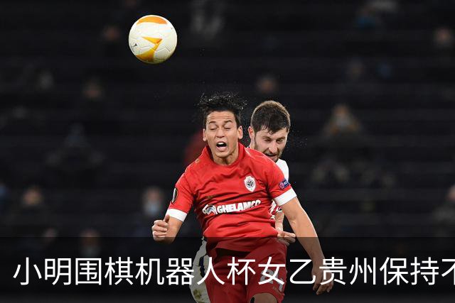 小明围棋机器人杯女乙贵州保持不败 内蒙古领跑丙组